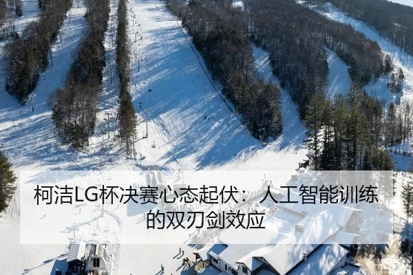 ke-jie-bei-jue-sai-xin-tai-qi-fu-ren-gong-zhi-neng-xun-lian-de-shuang-ren-jian-xiao-ying-3-574.jpg