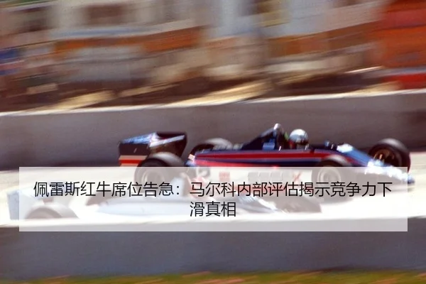 pei-lei-si-hong-niu-xi-wei-gao-ji-ma-er-ke-nei-bu-ping-gu-jie-shi-jing-zheng-li-xia-hua-zhen-xiang-3-107.jpg