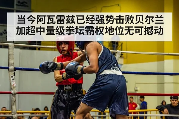 当今阿瓦雷兹已经强势击败贝尔兰加超中量级拳坛霸权地位无可撼动