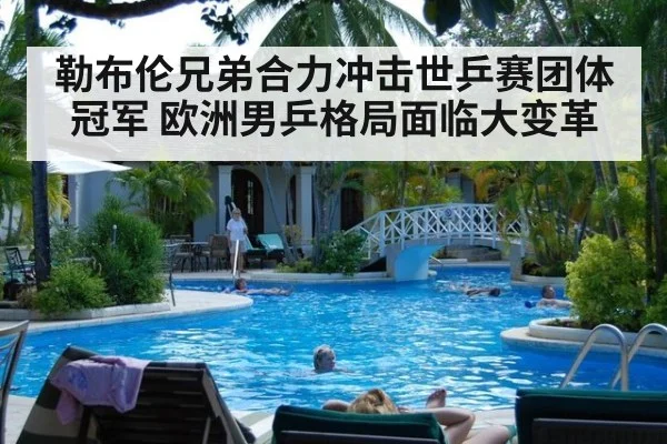 勒布伦兄弟合力冲击世乒赛团体冠军 欧洲男乒格局面临大变革